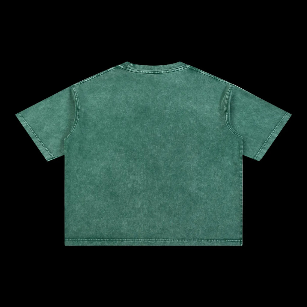 Back view of the Azurri Jesus Shuttlesworth T-Shirt in a soft green wash finish by ODMPOD.